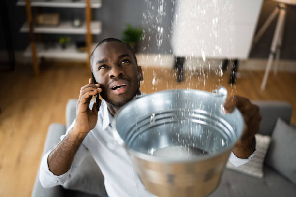 Best Local water damage restoration  in Elizabeth City, NC