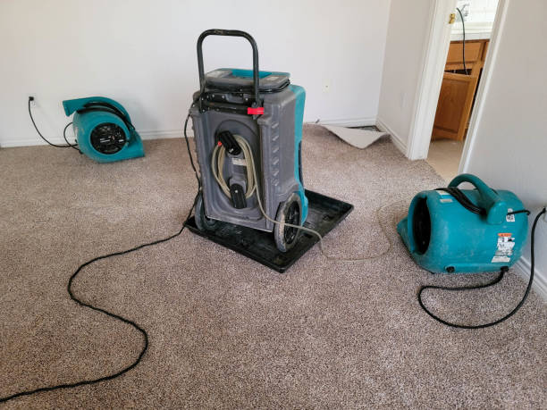 Best Fire Damage Restoration  in Elizabeth City, NC