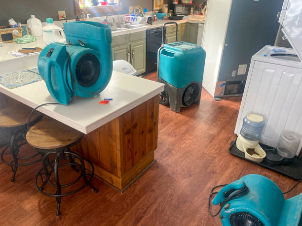 Trusted Elizabeth City, NC Water damage restoration Experts