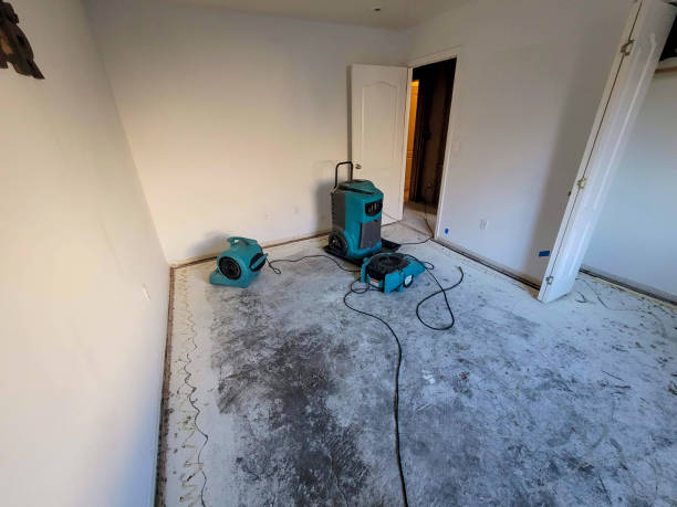  Elizabeth City, NC Water damage restoration Pros