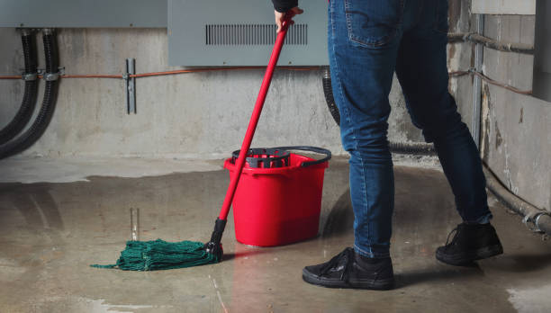 Best Water damage restoration near me  in Elizabeth City, NC