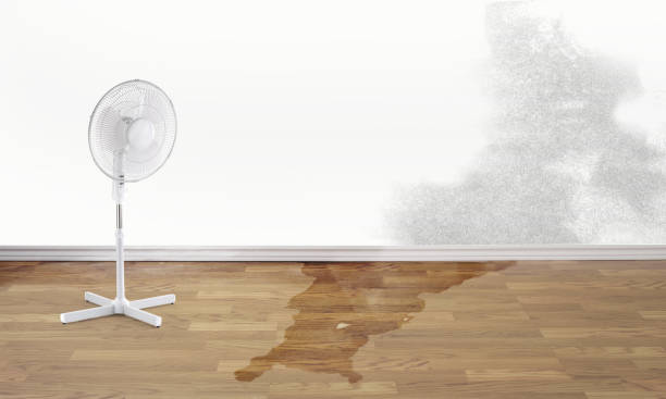 Best Flooded house restoration  in Elizabeth City, NC
