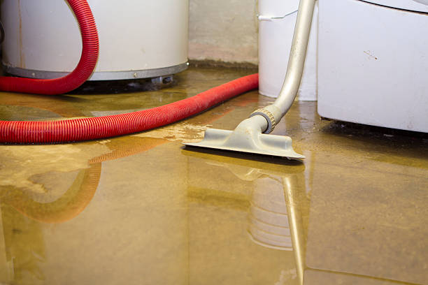 Best Sewage cleanup and water damage restoration  in Elizabeth City, NC
