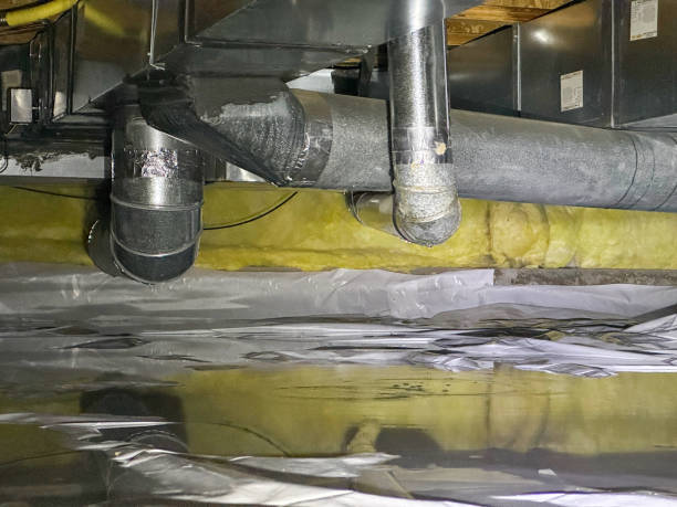 Best Water damage restoration near me  in Elizabeth City, NC