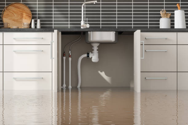 Best Professional water damage repair  in Elizabeth City, NC